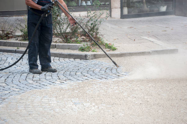 Best Fence Cleaning  in Gateway, AK