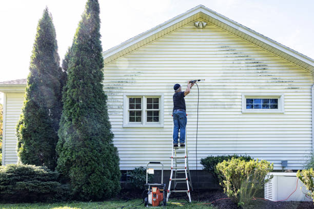 Best Solar Panel Cleaning  in Gateway, AK